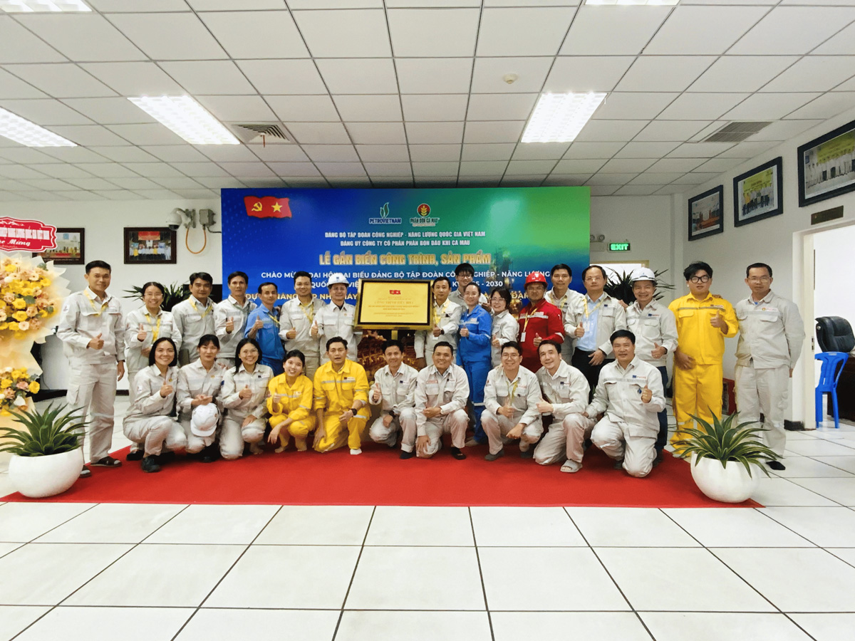 Tư vấn triển khai dữ liệu cho doanh nghiệp